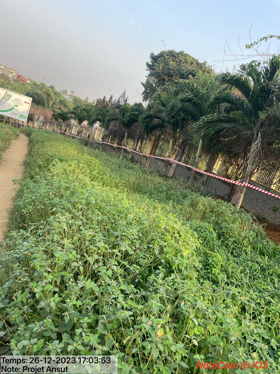 Installation Fibre Optique ( Cluster - câblage immeuble - B2B - LS - Transport)